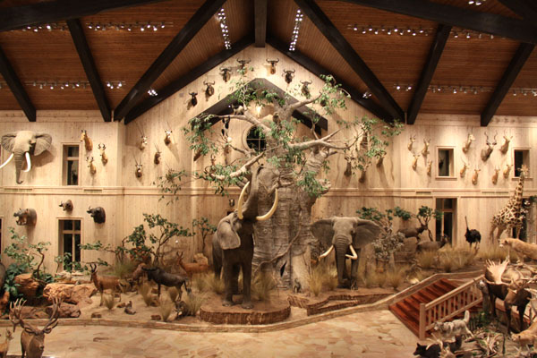 Big Game Hunter Trophy Room