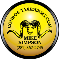 World Class Taxidermist - Mike Simpson - Conroe, Texas - Quality Trophy Mounting, Houston, Spring